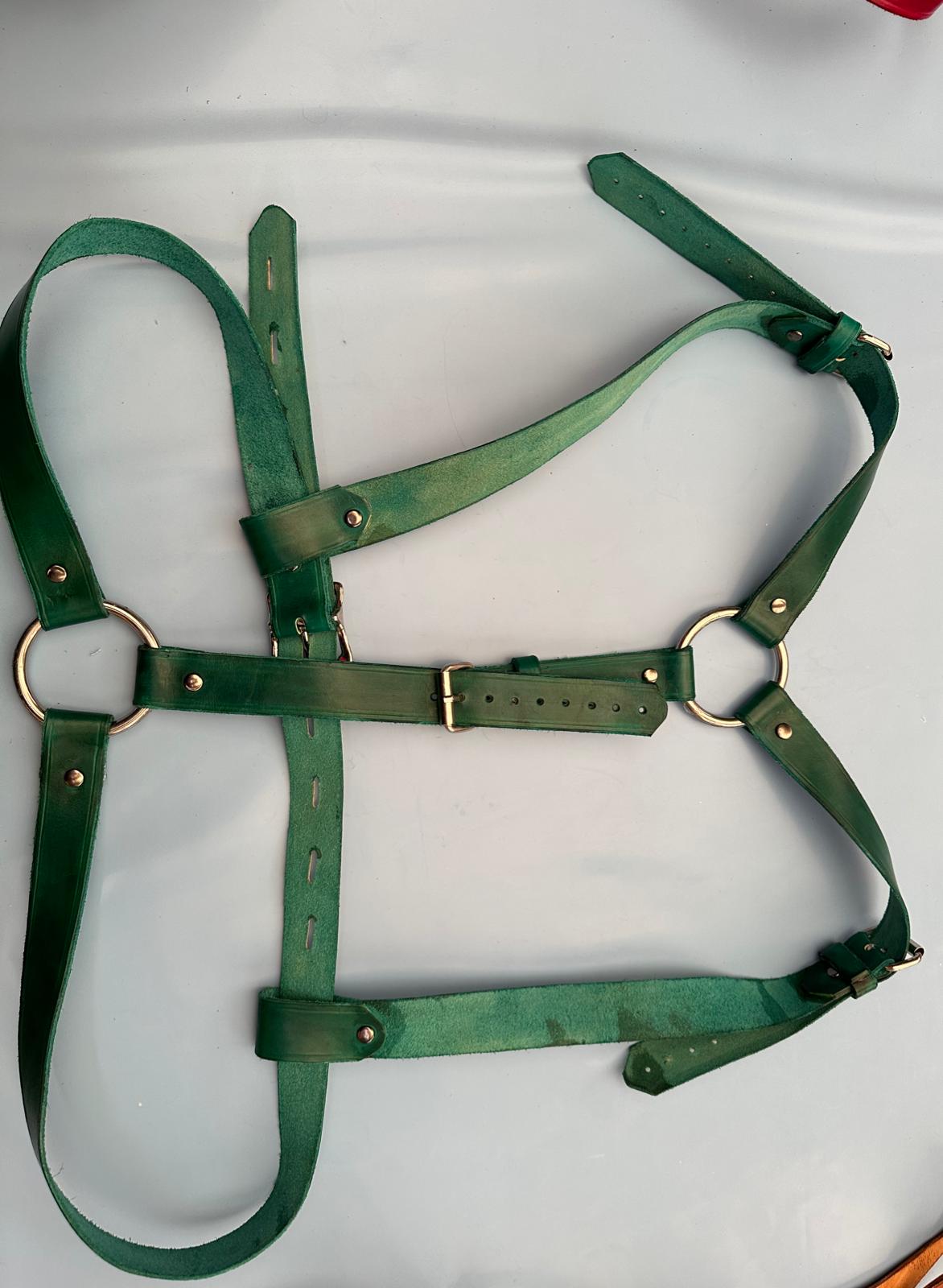 Shoulder harness